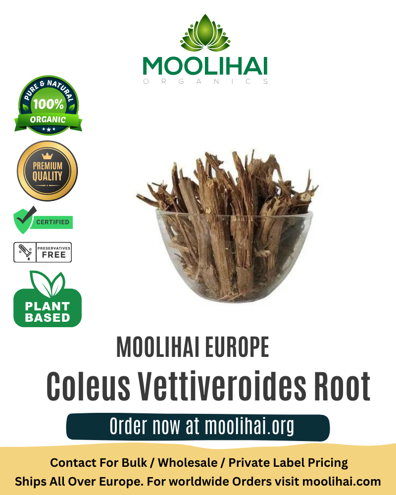 Vilamichai Ver / Coleus Vettiveroides Root - Naturoherbs